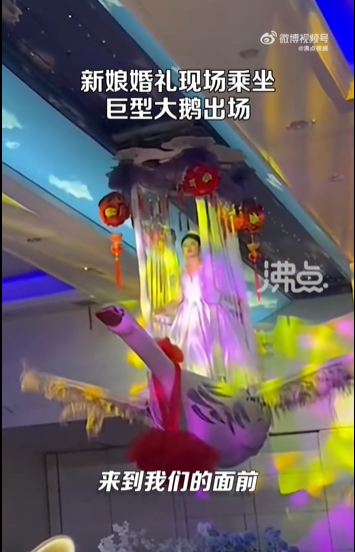 新娘婚礼现场乘坐巨型大鹅出场