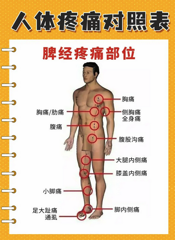 身体各器官疼痛部位对照表