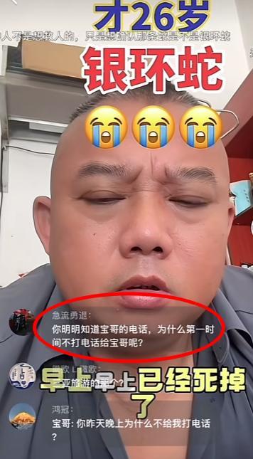 三亞游客身亡事件帶火蛇類博主
