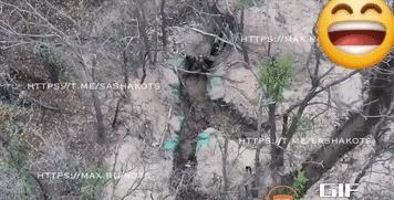 乌士兵跪求俄军无人机饶命 战场残酷效率展现