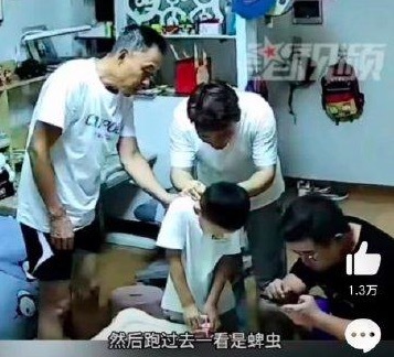 爷爷发现孙子背后多颗痣秒去医院 妈妈仔细一看发现竟然是蜱虫