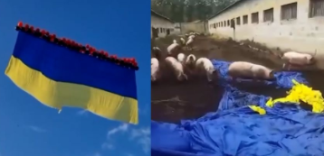 乌克兰军队朝顿涅茨克放飞一面巨型国旗示威，却落在猪圈被烧毁