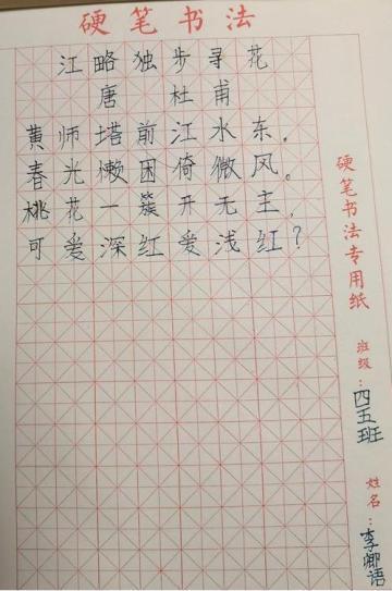 陕西省西咸新区沣东新城第五小学-李卿语           