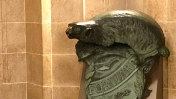 It's Navy's badger statue, but Wisconsin has grown attached