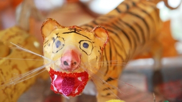 Senior makes tiger lanterns to celebrate upcoming Chinese zodiac Year of the Tiger