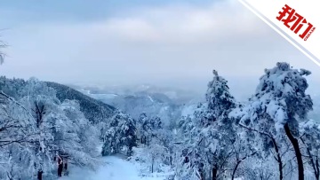 实拍宁波多地雪景 四明山区多条道路因积雪封道