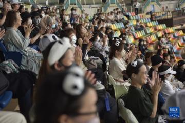 大熊猫“永明”31岁生日会在日本和歌山举办
