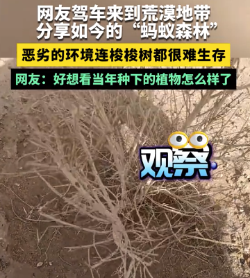 好想看當(dāng)年種下的植物怎么樣了 網(wǎng)友分享“螞蟻森林”現(xiàn)狀