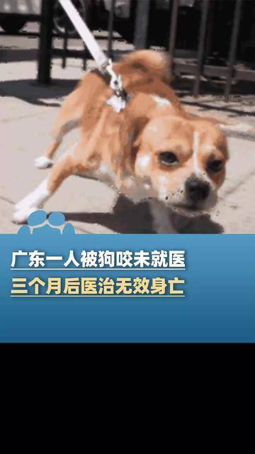 被狗咬后未就医3个月后发病去世 疾控部门警示狂犬病风险
