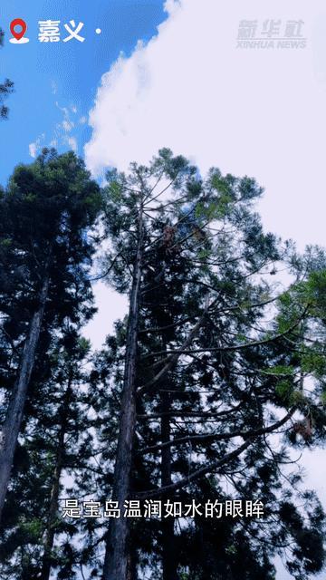 “打开”大陆课本中的宝岛美景 童年回忆里的向往风景
