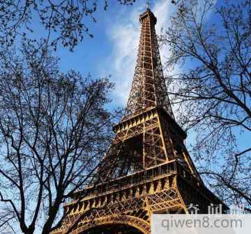 明朝谋士排行榜_朱元璋杀掉谋士的举动,也在葬送明王朝,没给建文帝留人才(2)