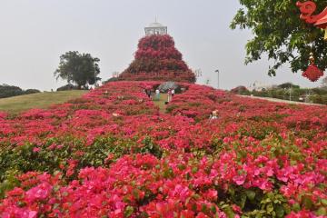四季皆芳菲，这座城市“人间四月天”全年不打烊