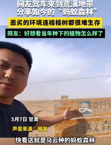 好想看當(dāng)年種下的植物怎么樣了 網(wǎng)友分享“螞蟻森林”現(xiàn)狀