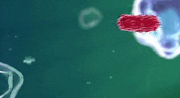 6种食物被证实“促癌” 警惕饮食风险