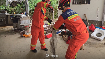 眼镜蛇闯入居民家中被消防员捕获 专业处置保平安
