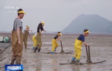研学体验持续“上新” 各地激活暑期文旅消费