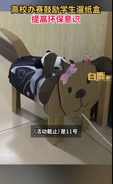 “纸盒狗”风靡中国高校 喜欢的同学：自己快乐最重要