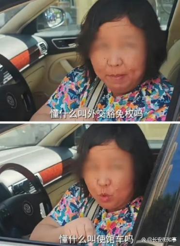 驾馆车堵路女子曾是中国公职人员 行为引不良影响，深感自责