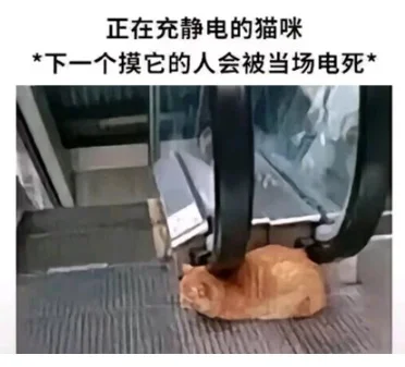 聚酯纤维是怎么在互联网“塌房”的 从黑科技到贬义词