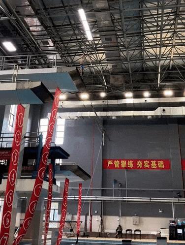 教练透露全红婵患胫骨骨膜炎 带伤参赛勇夺金牌