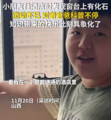 知识带来的快乐此刻具象化了！小朋友住酒店时发现窗台上有化石