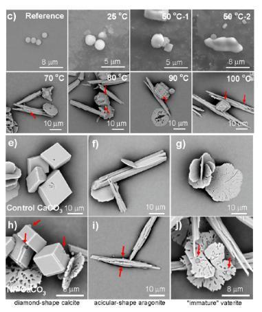 永远喝桶装水面对若何的健康风险 微塑料隐患需警惕