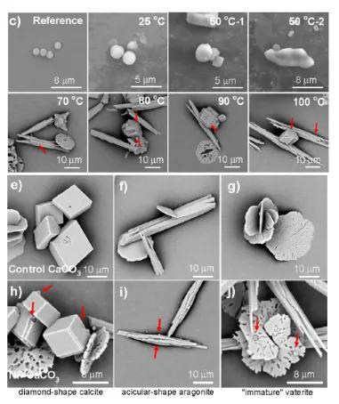 长期烧水喝和买桶装水喝 哪种更健康