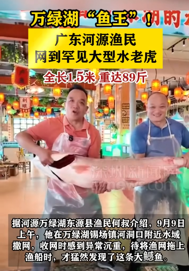 河源漁民網(wǎng)到罕見(jiàn)大型水老虎 萬(wàn)綠湖“魚王”！