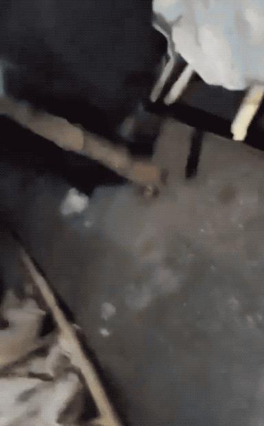 印度男子在祖母火化时钻入焚尸炉