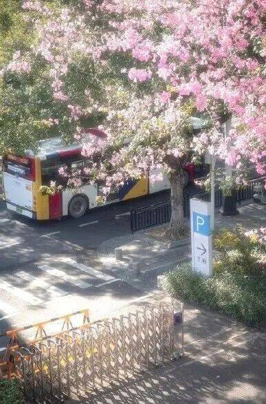 广州变首尔？韩网友搬运中国街景照片 原创作品被误传引发热议