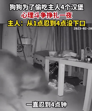 大S方回应将以法律维权