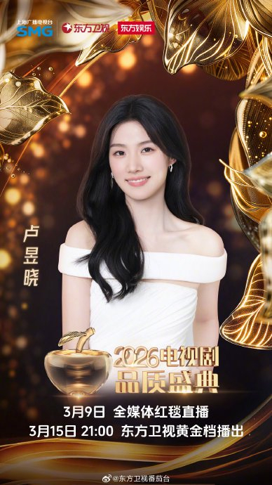 卢昱晓亮相2026电视剧品质盛典红毯