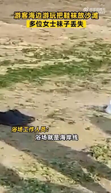 海水浴场回应女士袜子丢失 浴场就是公共场所，发生这种情况可以报警