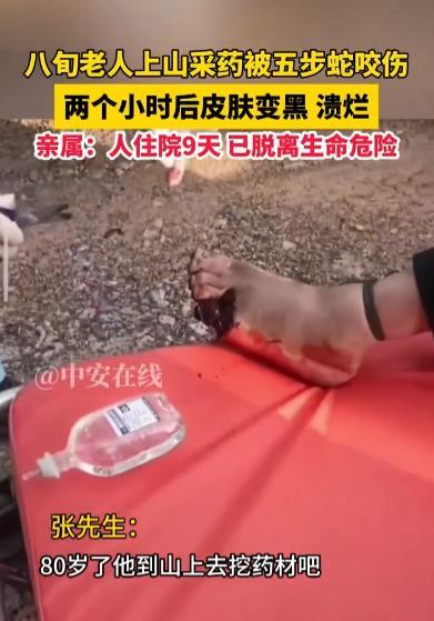 七旬老農(nóng)被五步蛇咬后割肉放血自救
