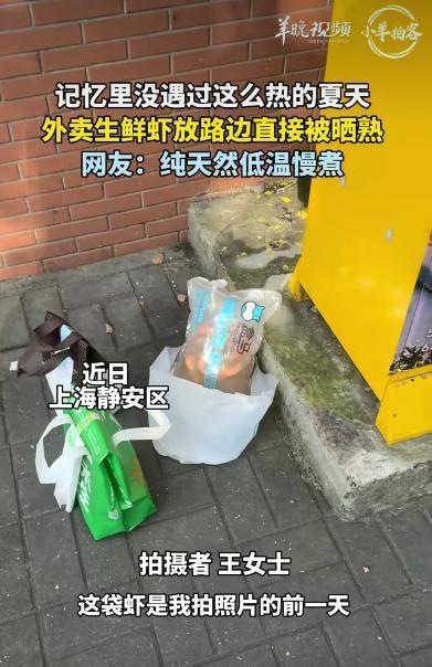 女子发现一袋虾在路边被煮熟 高温天气下的“天然慢煮”