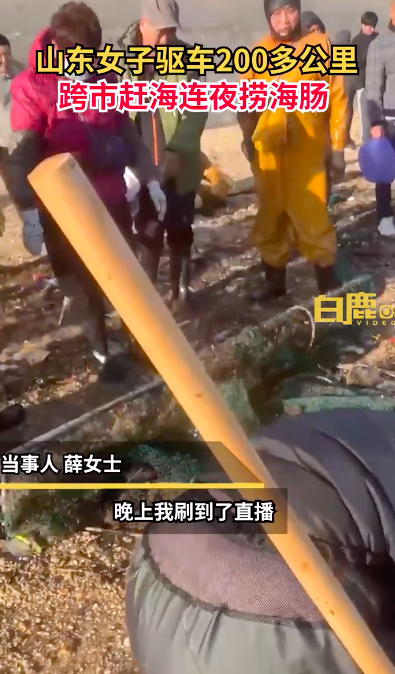 女子连夜开车400里到烟台捞海肠 海肠韭菜水饺很绝！