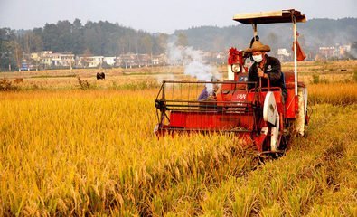中央农村工作会议在京召开，研究部署2022年“三农”工作