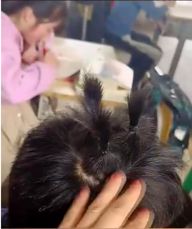 小学生继盘串后又流行起盘头