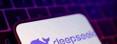 多地政务接入DeepSeek，AI助力政务服务大升级，商户全球化更轻松