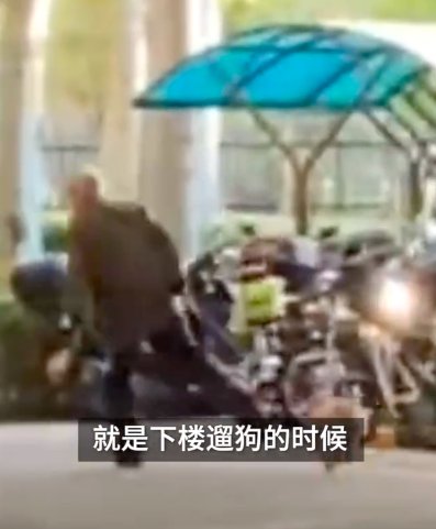 北京硬核大爷穿轮滑帅气遛狗走红 大爷曾经也是少年啊