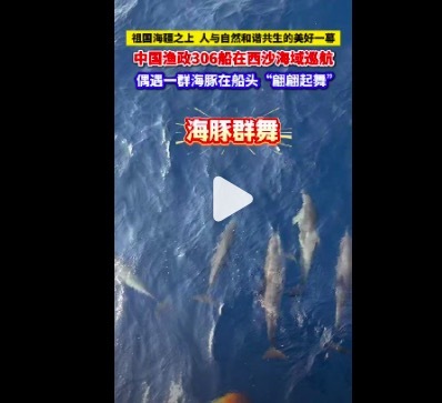 海豚在船头活蹦乱跳好放浪