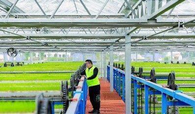 无人机秒查城市隐患,AI派单10分钟搞定,重庆咋这么牛?