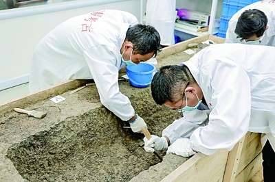 马家浜文化墓葬开展实验室考古探源