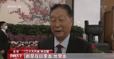 在党代表通道上,他谈起了这株“幸福草”