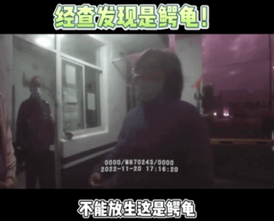 上海一对夫妻花5000多元买“乌龟”欲放生 民警:住手吧!