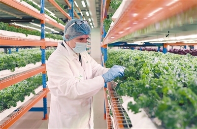 “让食品安全和品质更加可控”（第一现场）