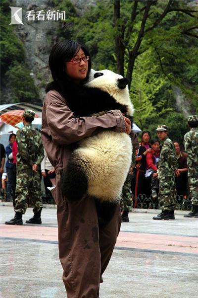 汶川地震时饲养员狂奔转移大熊猫