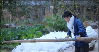 李子柒首秀官宣新身份 田园女神回归