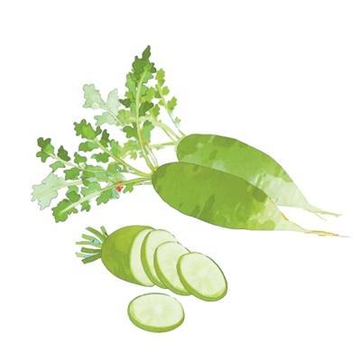 为什么“冬吃胡萝卜，夏吃姜”是均衡营养的智慧