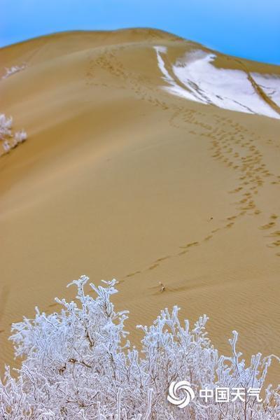 沙漠也有雾凇？四大场景解锁别样冰雪奇缘